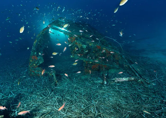 Апартаменты Sweet Cocooning - Host Provence Кавалер-сюр-Мер